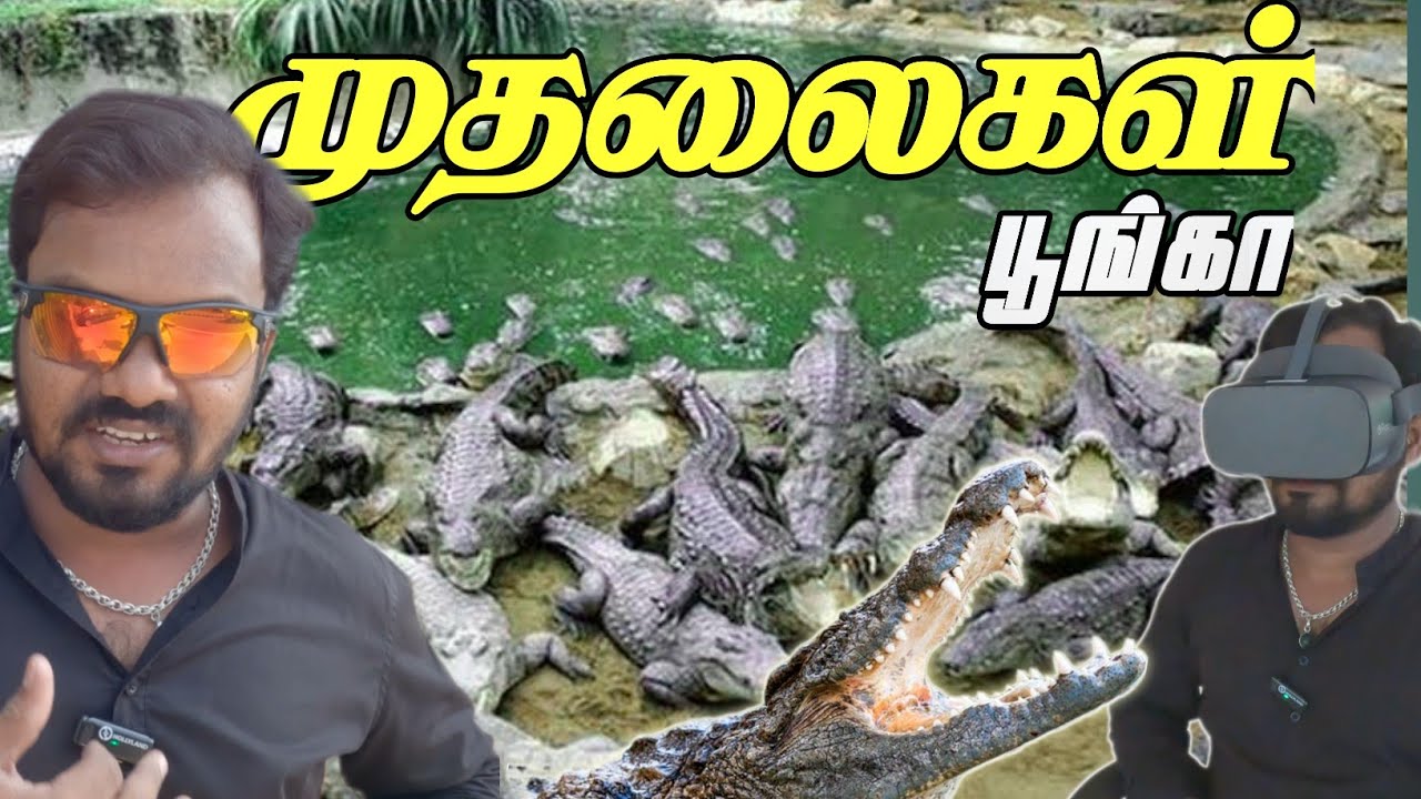 🐊Crocodile Park | Crocodile Feeding😲 at Crocodile Park Chennai | ECR