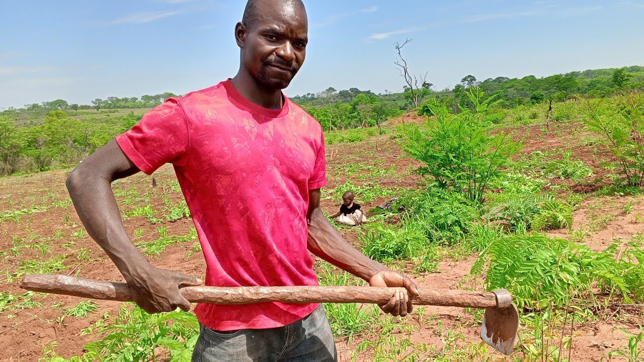 O dia-a-dia na roça e o desenrolar das atividades no interior de Moçambique. #africa #youtube #video