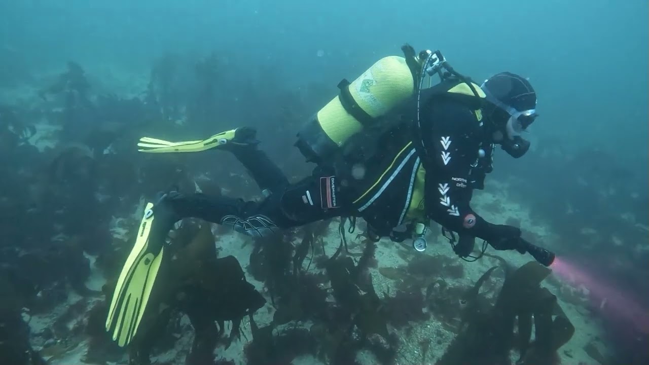 SHUG Diving Oban 2025
