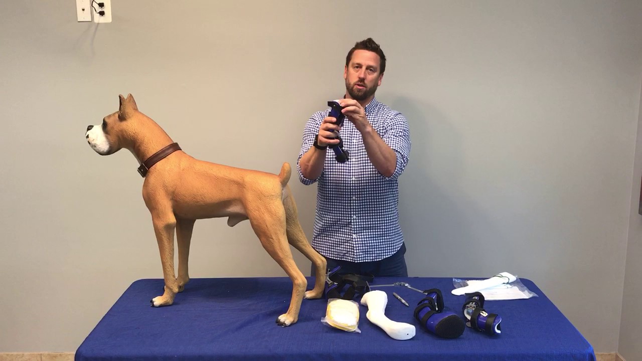Canine tarsal brace fitting instructions