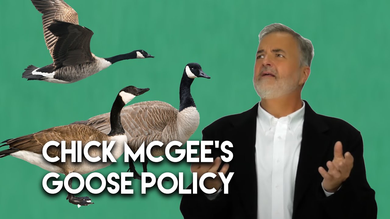Chick McGee's Goose Policy