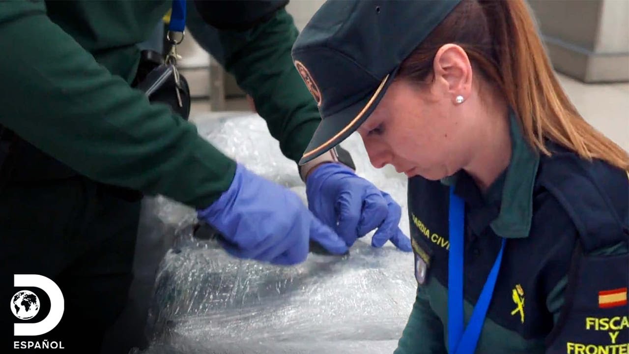 Una maleta repleta de cangrejos alerta a los agentes | Control de Fronteras: España