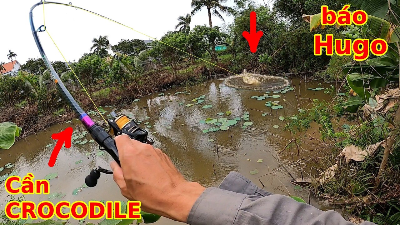 Mua cần Lure si&ecirc;u rẻ gi&aacute; 100k về c&acirc;u thử, v&agrave; kết quả bất ngờ