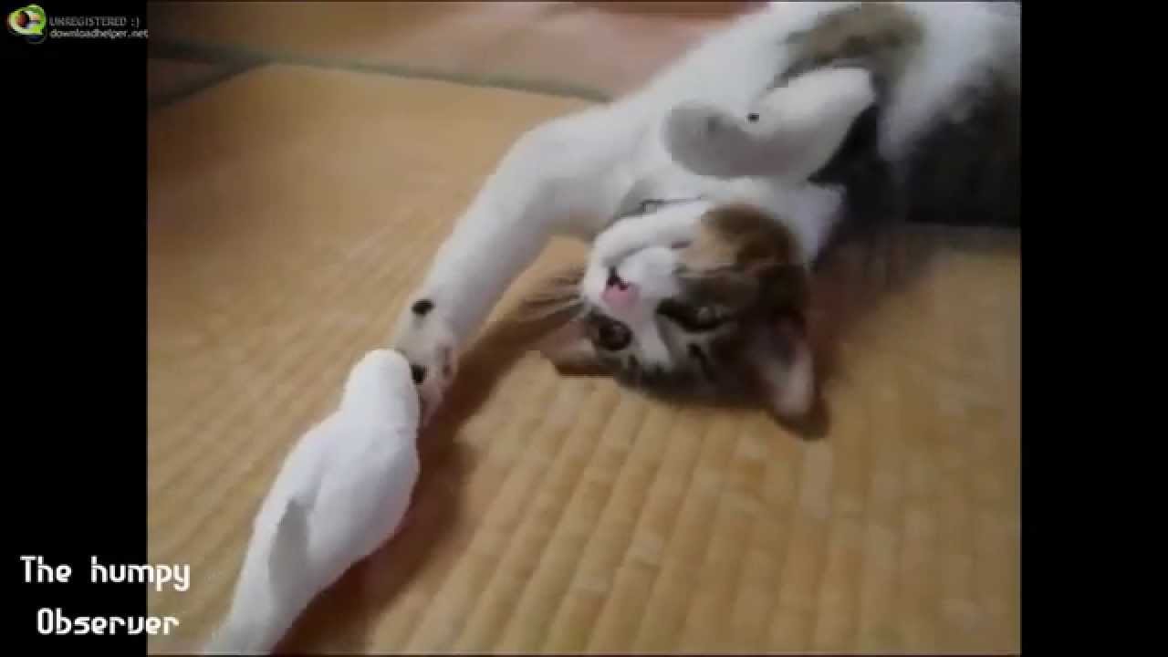 S&eacute;quence tendresse
