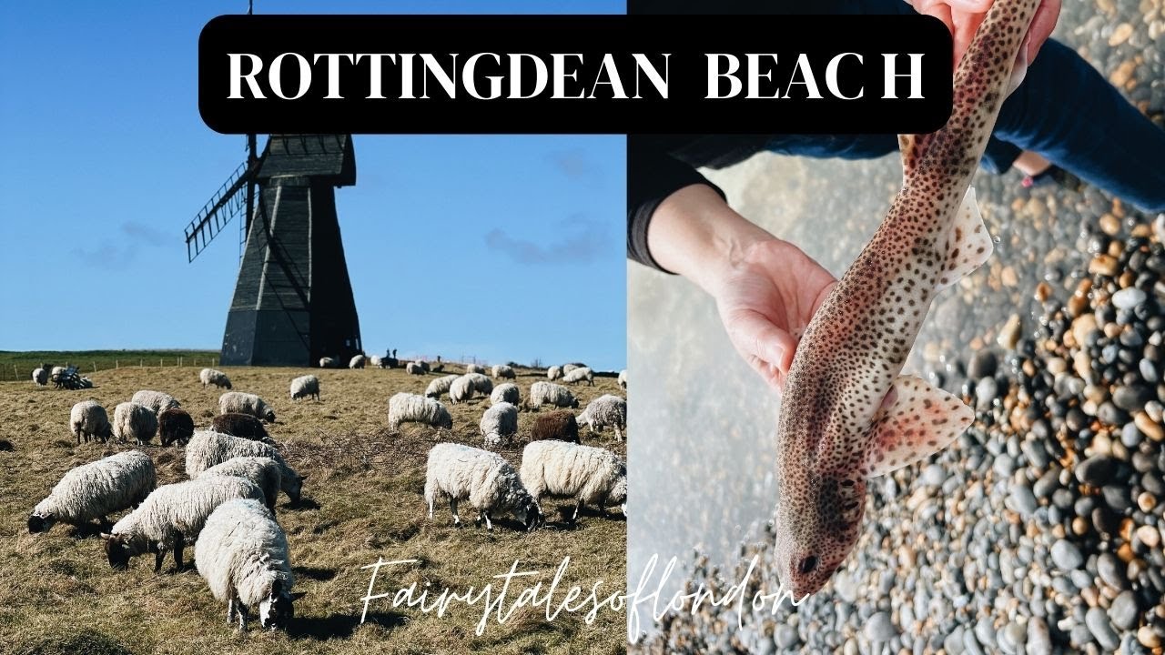 Rottingdean Village I Rock pooling beaches in London I Exploring Rottingdean  village and Windmill