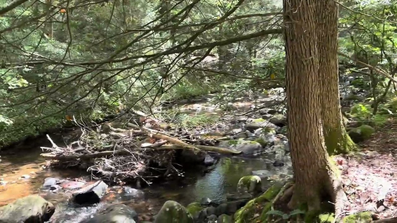 The Old Connecticut Path 