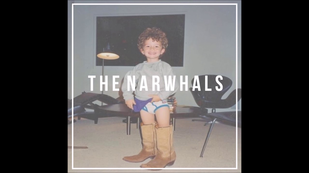 the narwhals  all the places
