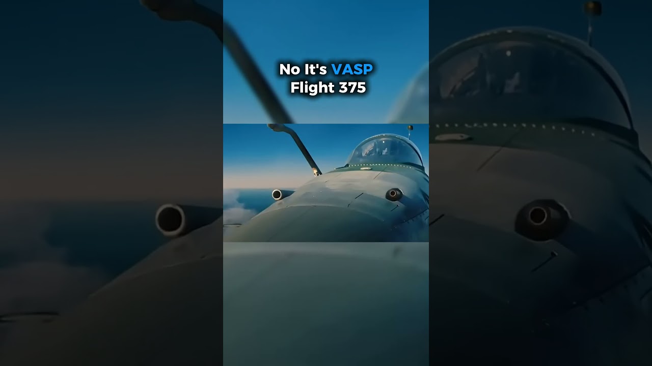What the pilot did on VASP Flight 375 😱✈️#aviation #flightsimulator #shorts #viral