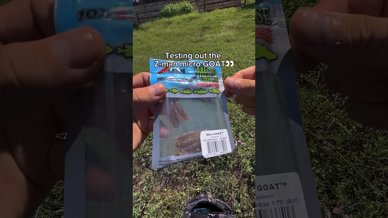 Testing out the Z-man MICRO GOATS!👀 #fishing #shorts
