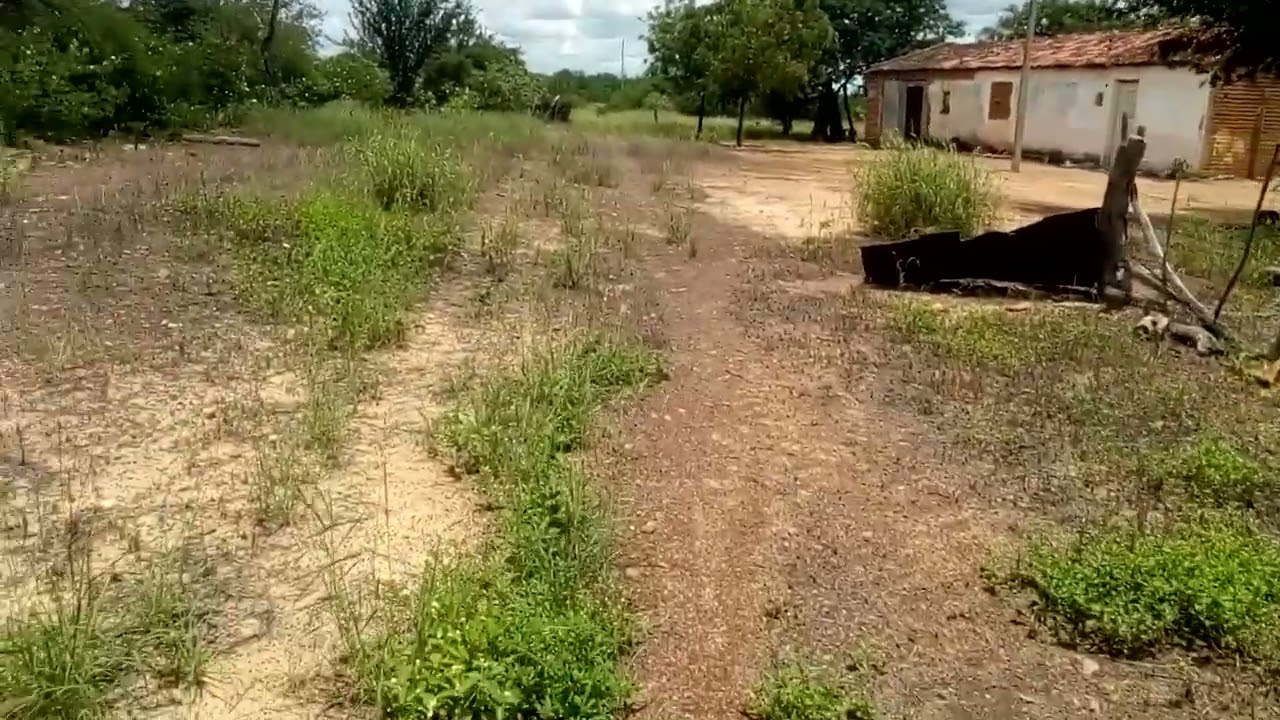 14 de março de 2026