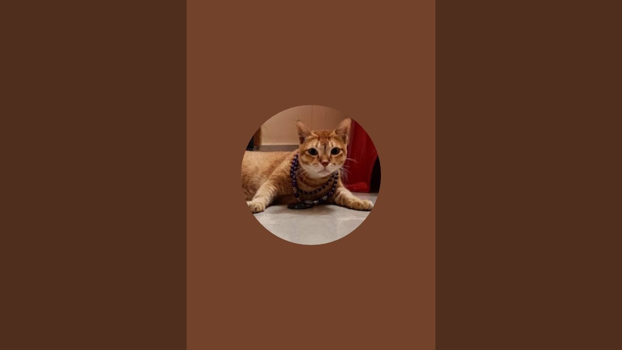 Doby  is live