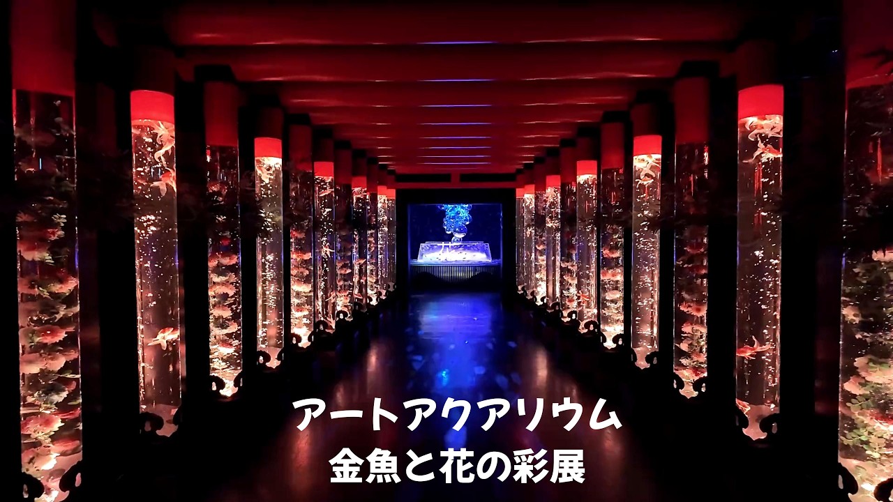 アートアクアリウム　金魚と花の彩展