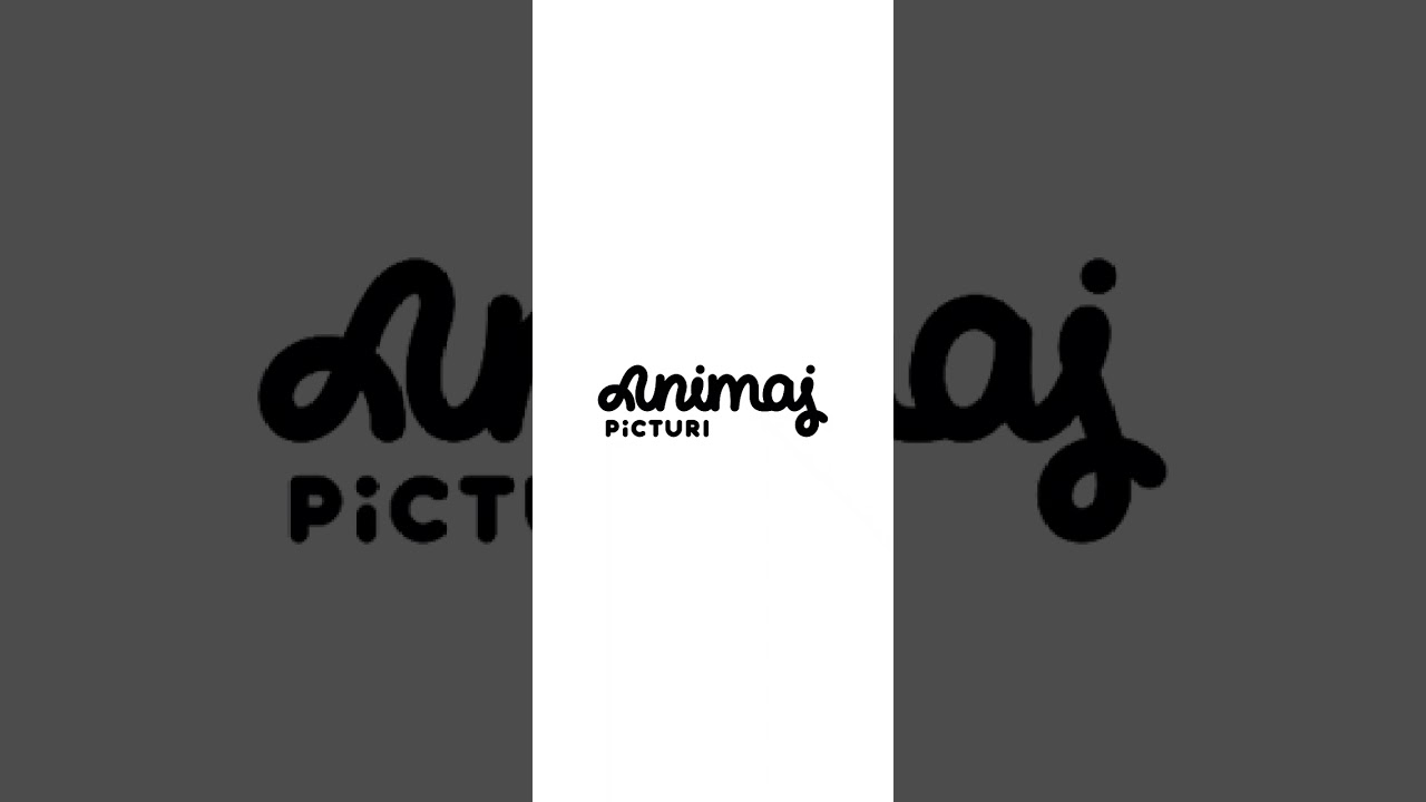 Animaj Picture This Logo (2024-Present)