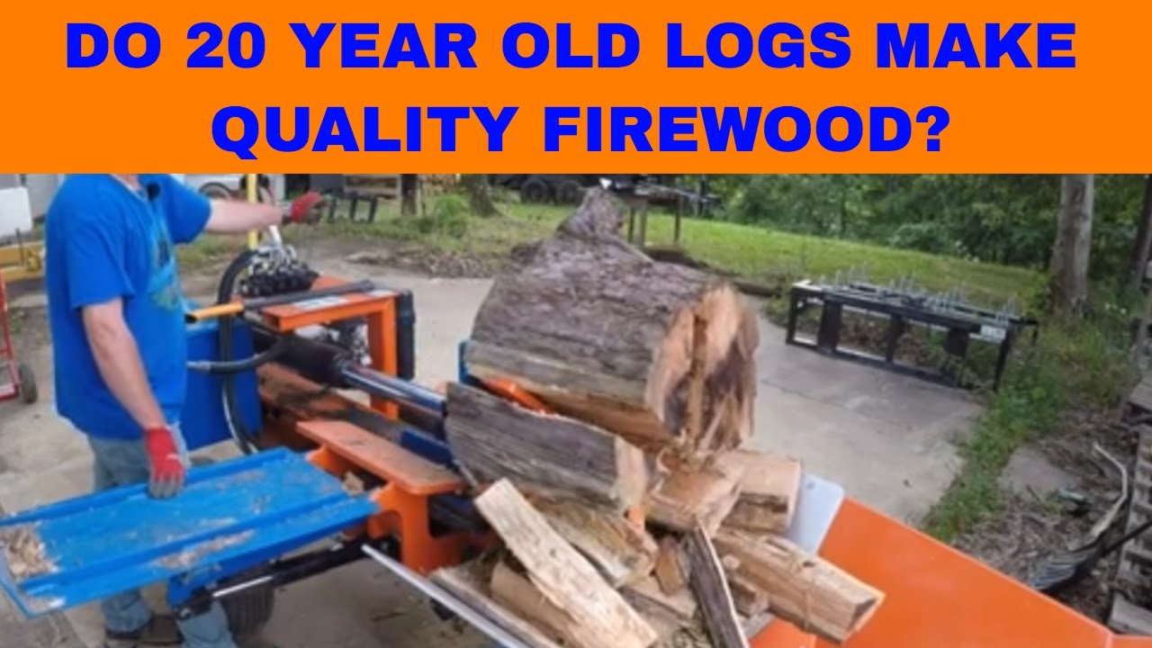 Do 20 Year Old Logs Make Quality Firewood? #230
