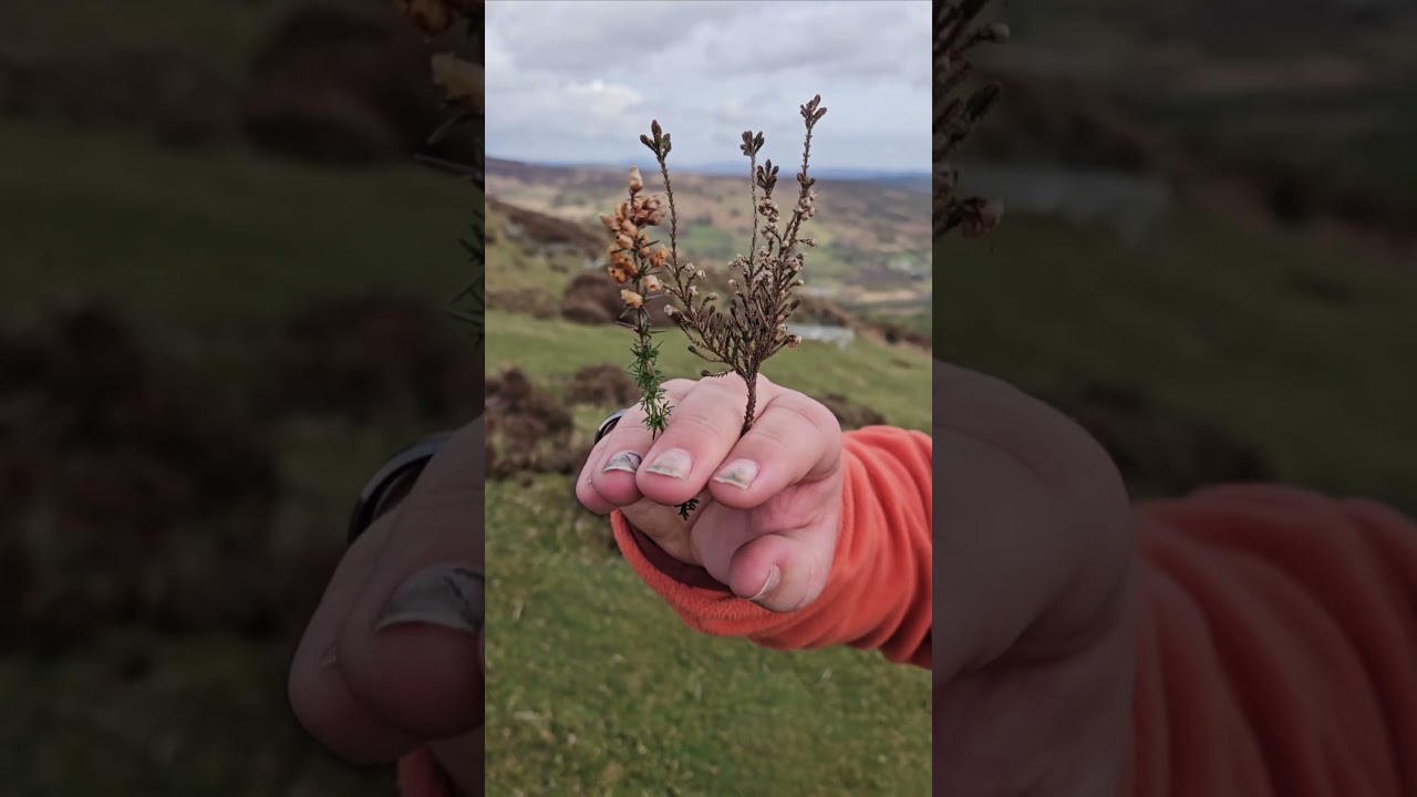 Highlights of a Mountain Skills 1 training course, Wicklow, Ireland #hillwalking #hiking
