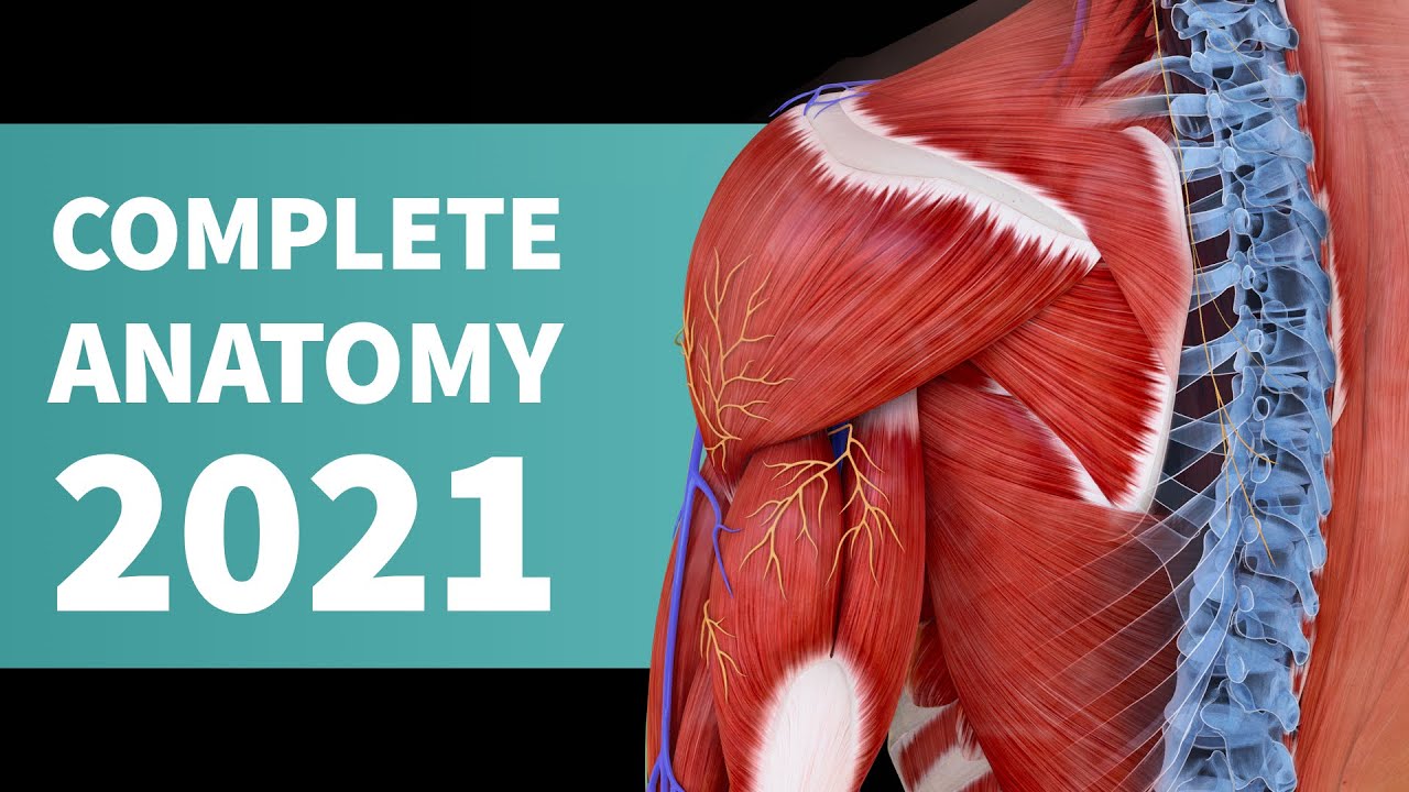 Introducing Complete Anatomy 2021