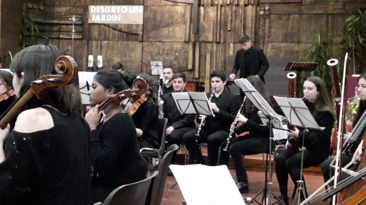 Danza del hada de azúcar. El Cascanueces. P. I. Tchaikovsky. Orquesta Bohème