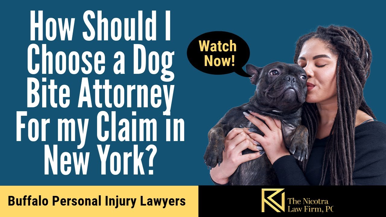 How Should I Choose a Dog Bite Attorney For my Claim in New York? | The Nicotra Law Firm, PC