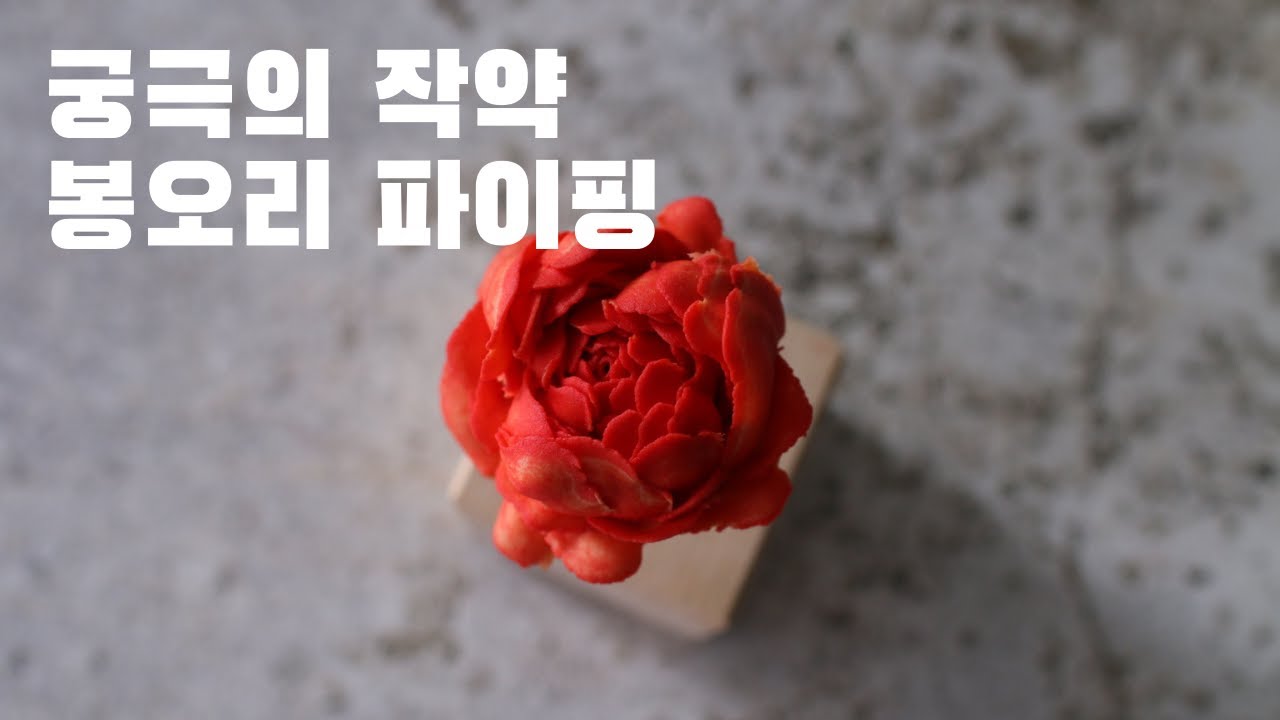 궁극의 작약 봉오리 파이핑(Best peony bud piping)