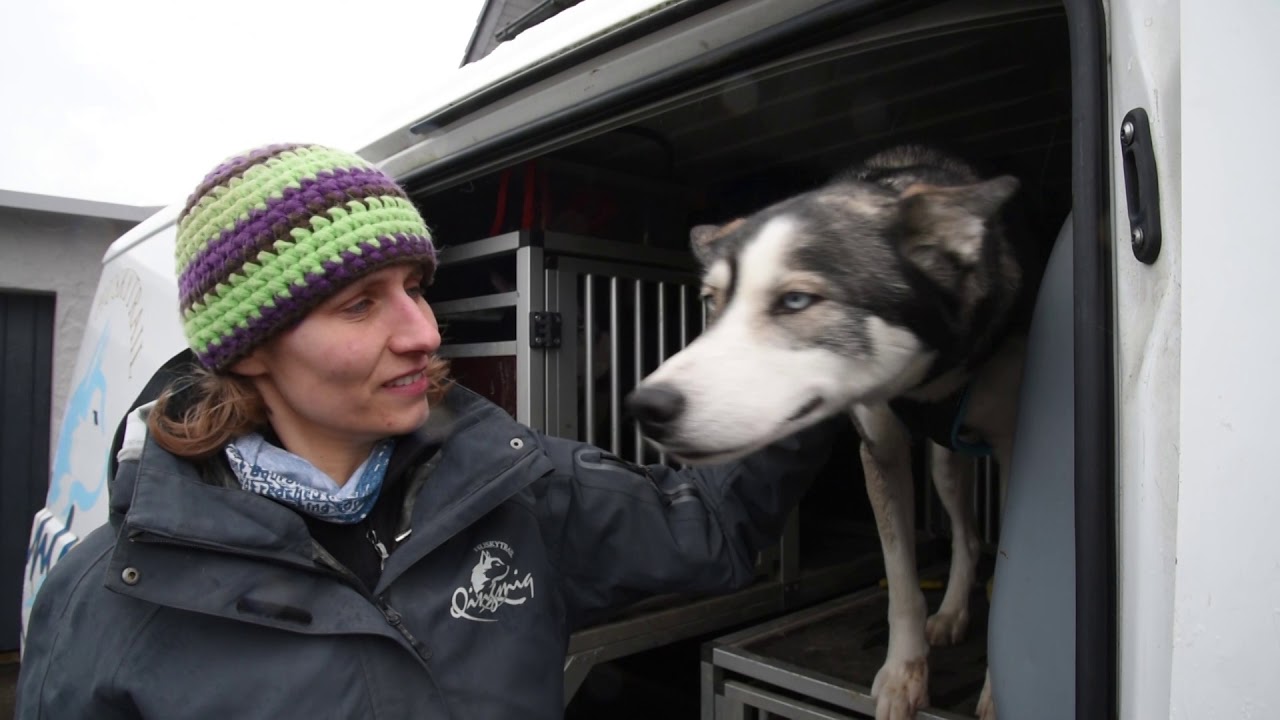 Unterwegs auf dem Husky Trail in Bartholomä
