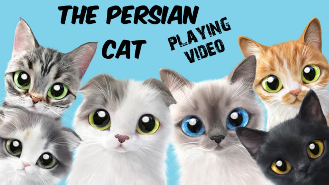 Cat playing with key 😁 like share subscribe for more guyss 