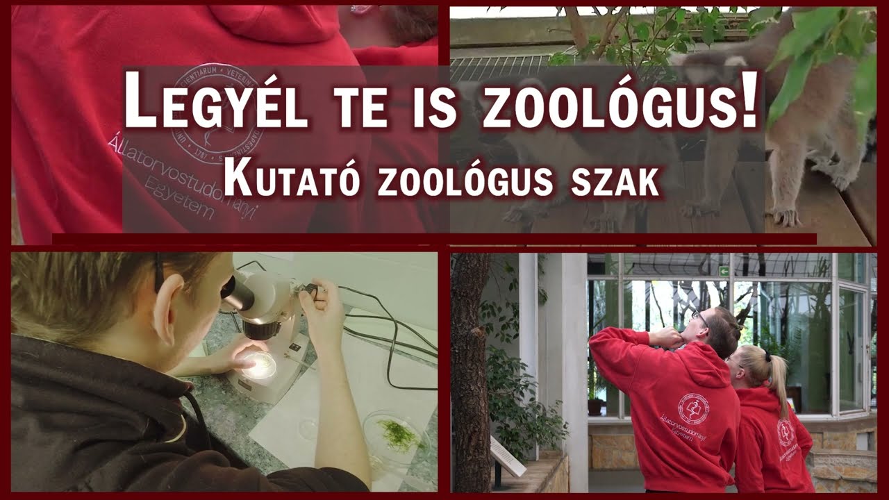 Kutató zoológus képzés - Egyedülálló képzés Magyarországon