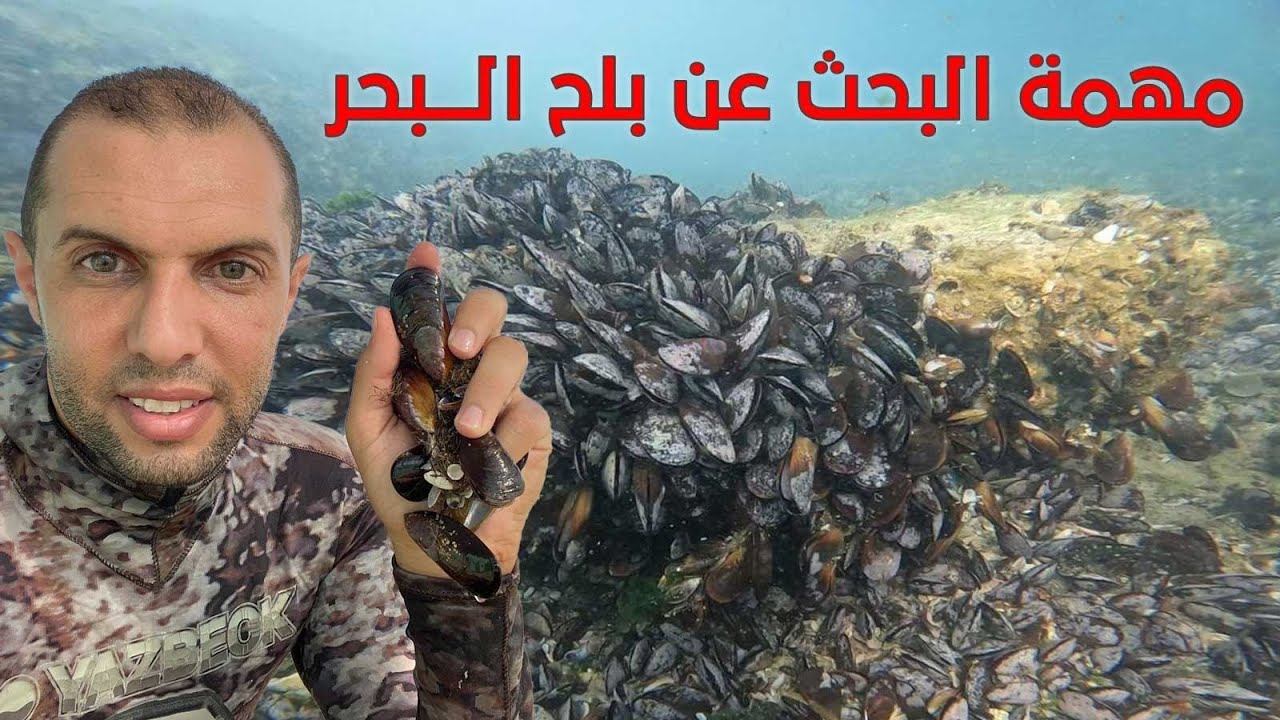 مهمة البحث عن بلح البحر