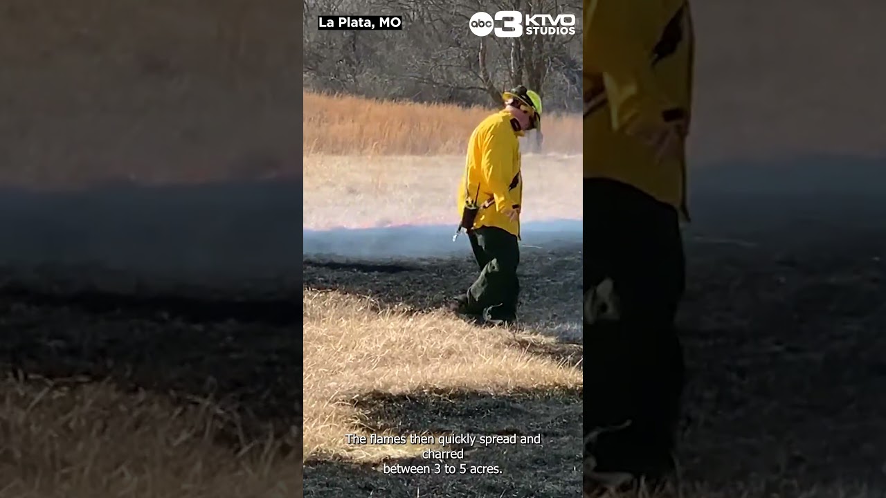 Grass fire comes dangerously close to shop building outside La Plata