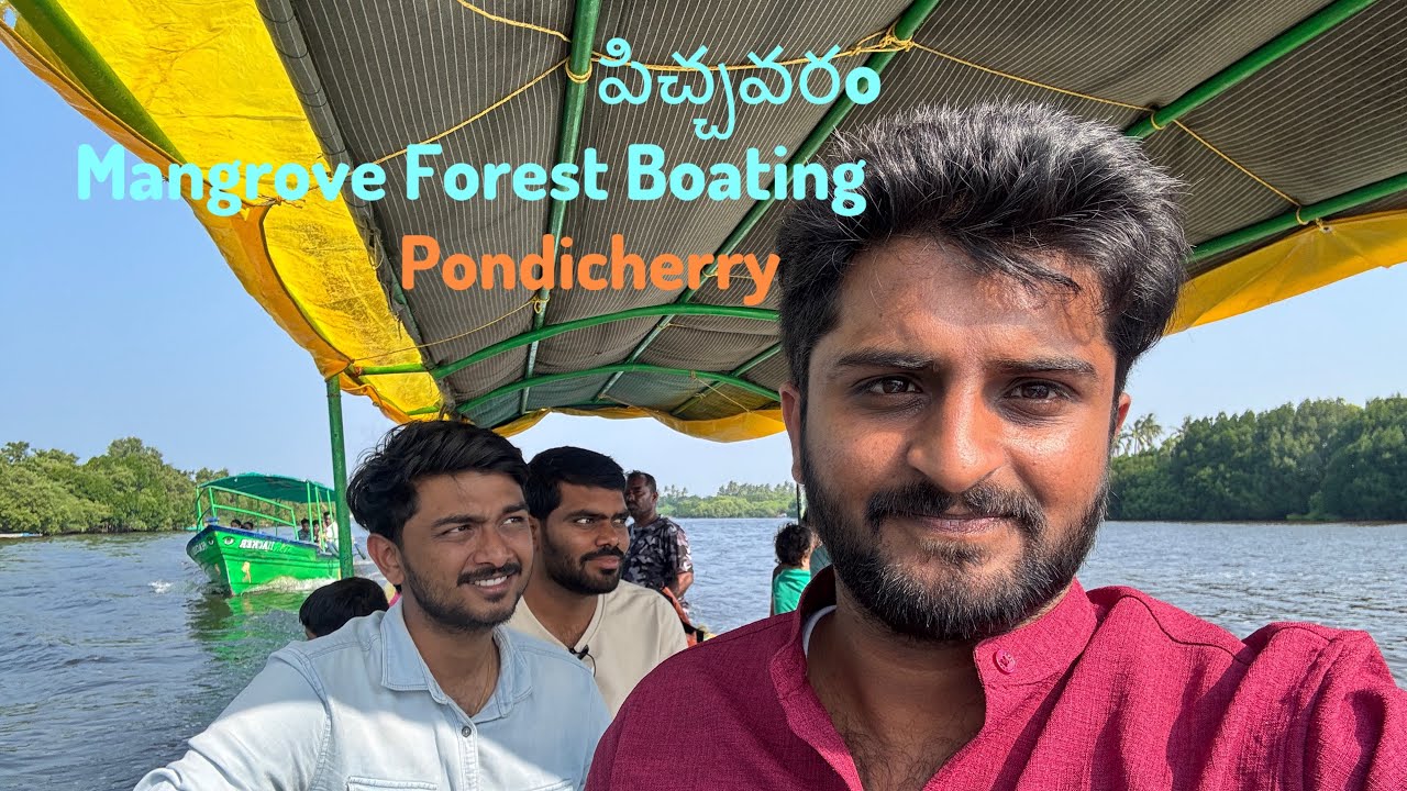 PONDICHERRY TOURIST PLACES I PONDICHERRY MANGROVE FOREST |#mangroveforest #mangrove #pondicherry