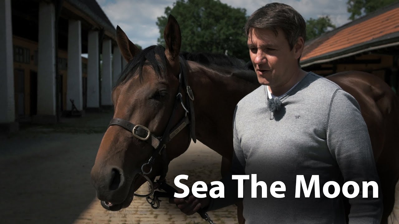 Sea The Moon - Der Favorit im IDEE 145. Deutschen Derby