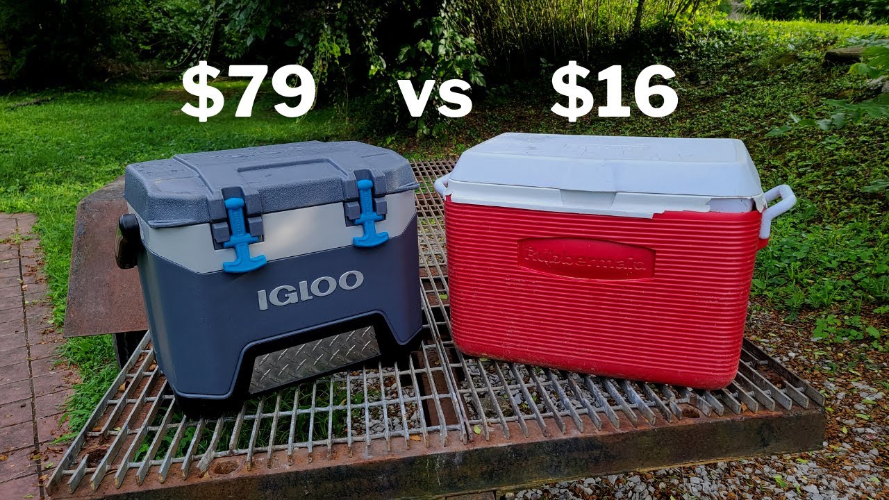 Igloo BMX 25 vs Basic Cooler