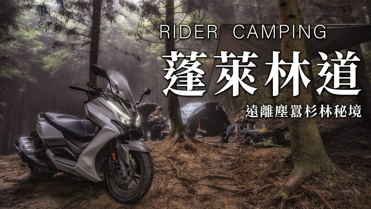 遠離塵囂的杉林秘境，DTX CT 蓬萊林道越野&露營 feat. @MARK51402  | RIDER CAMPING