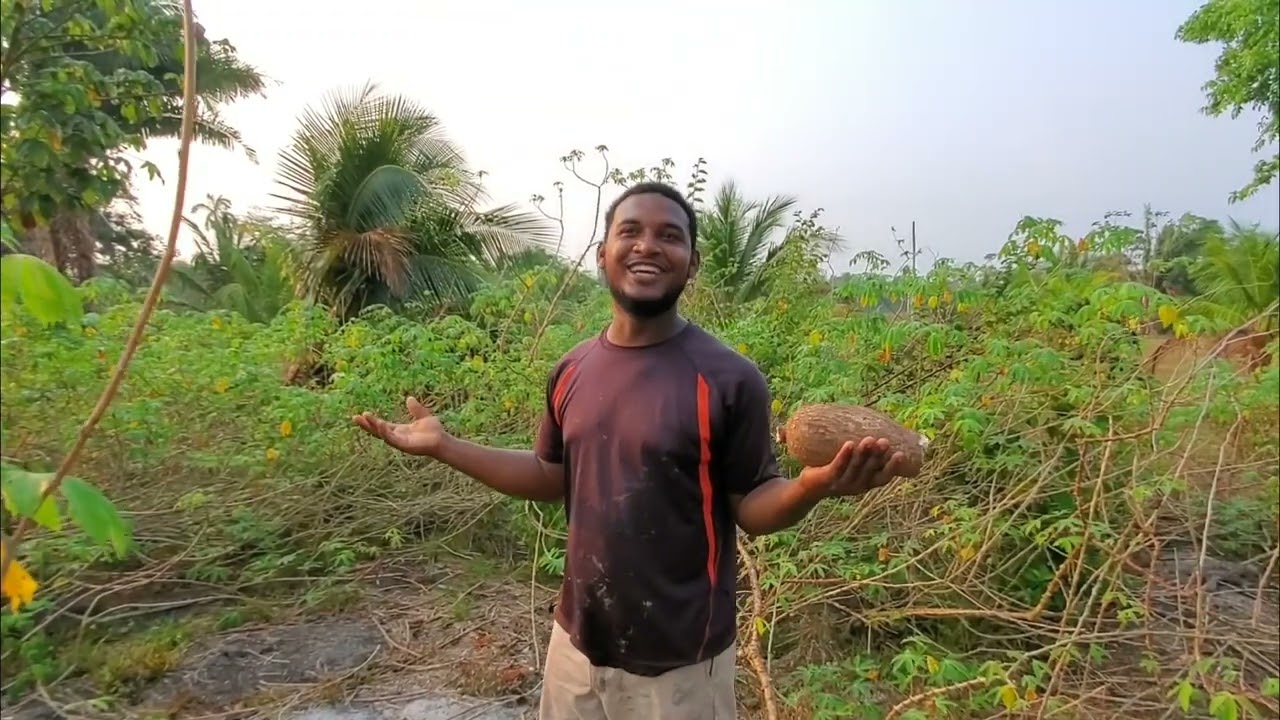 Belize Farm B&B in the village of Bermudian Landing