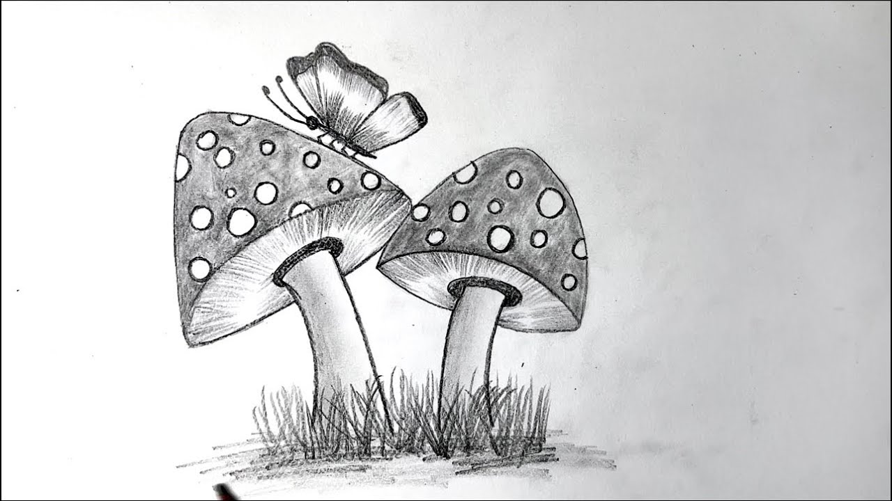 Draw butterfly on mushrooms 🍄 | easy tutorial | Pencil drawing 