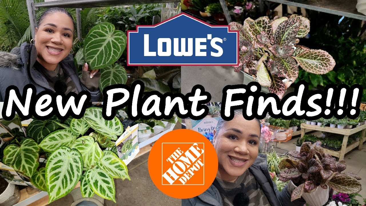 New Plants I Can't Find at Home!🌿Home Depot & Lowe's Plant Hunt
