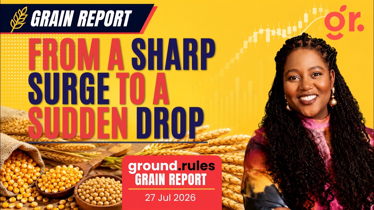 From a Sharp Surge to a Sudden Fall | Grain Overview &ndash; 28 Jul 2026