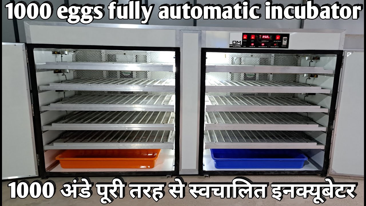 1000 Egg Incubator from Dellmarc #quaileggs #chicken #incubator