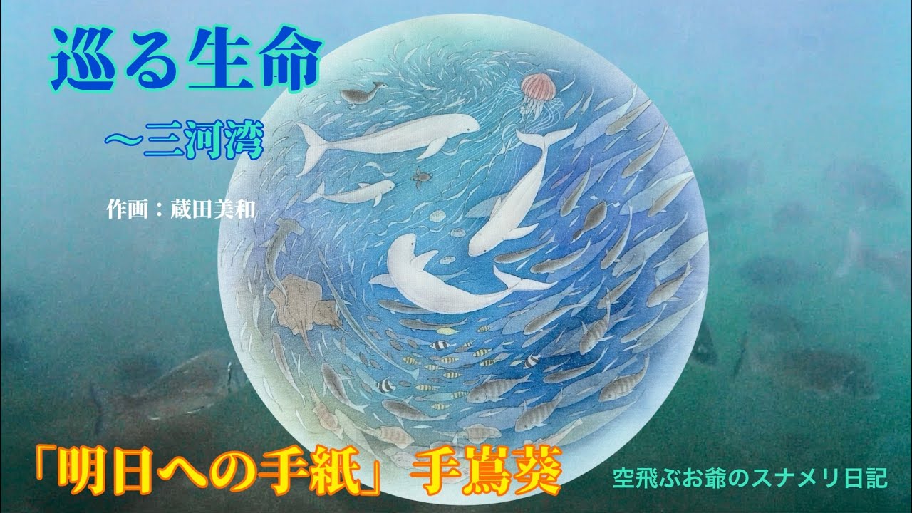 巡る生命〜三河湾　作画：蔵田美和　「明日への手紙」唄：手嶌葵Circulating Life - Mikawa Bay   
