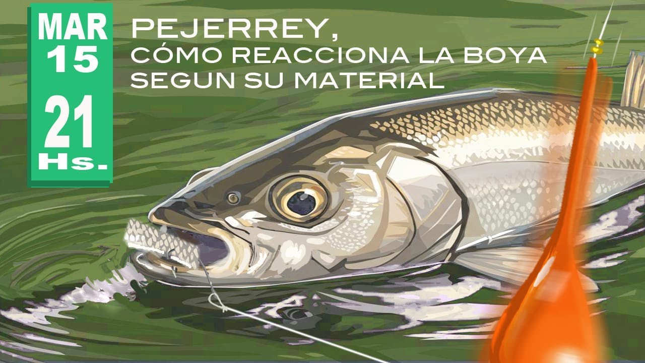 PEJERREY - CÓMO REACCIONA LA BOYA SEGUN SU MATERIAL