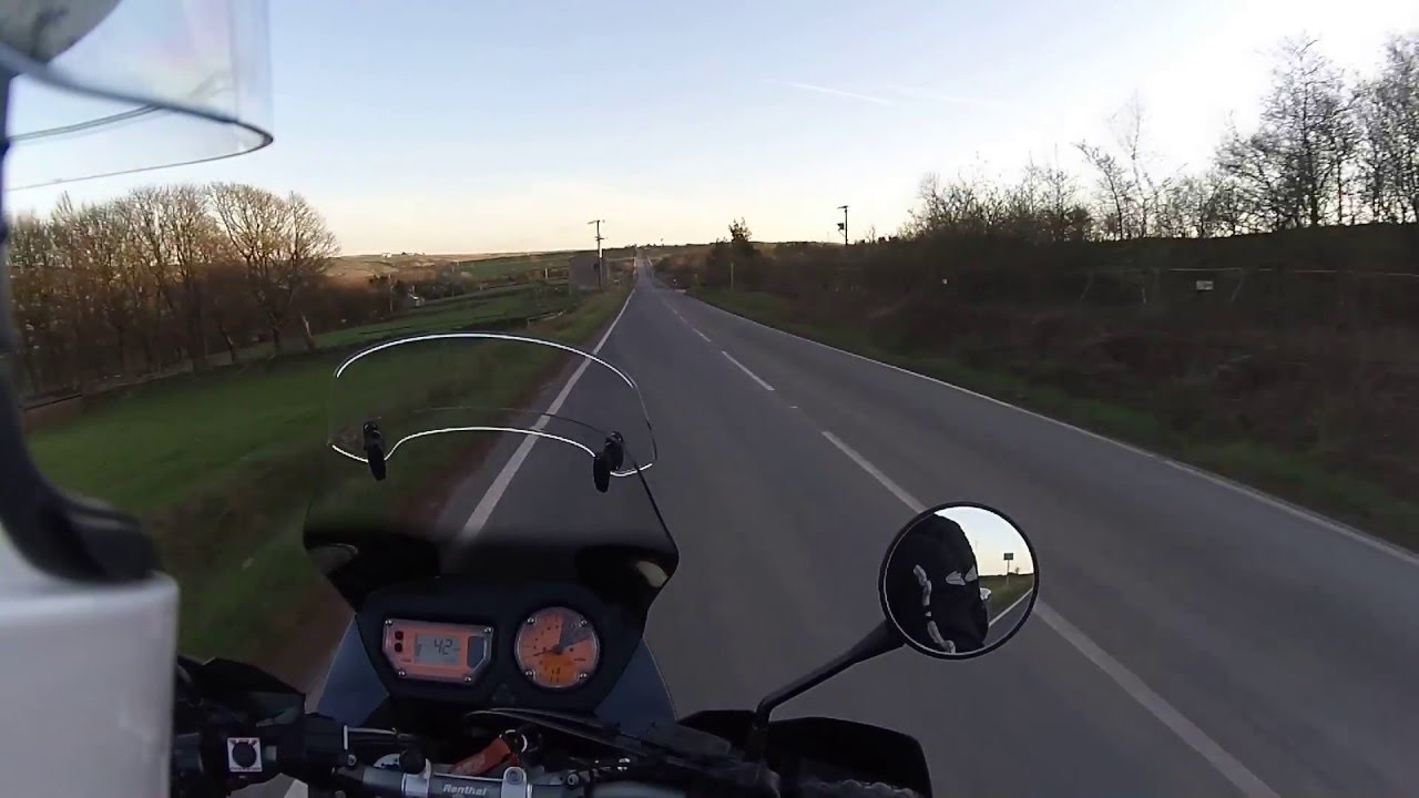Bikers stop runaway horse and return to owner