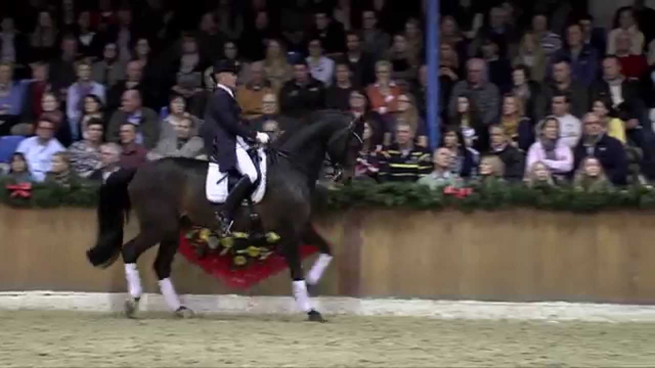 Rock Forever NRW - Sosath (Stallion Show 2014)
