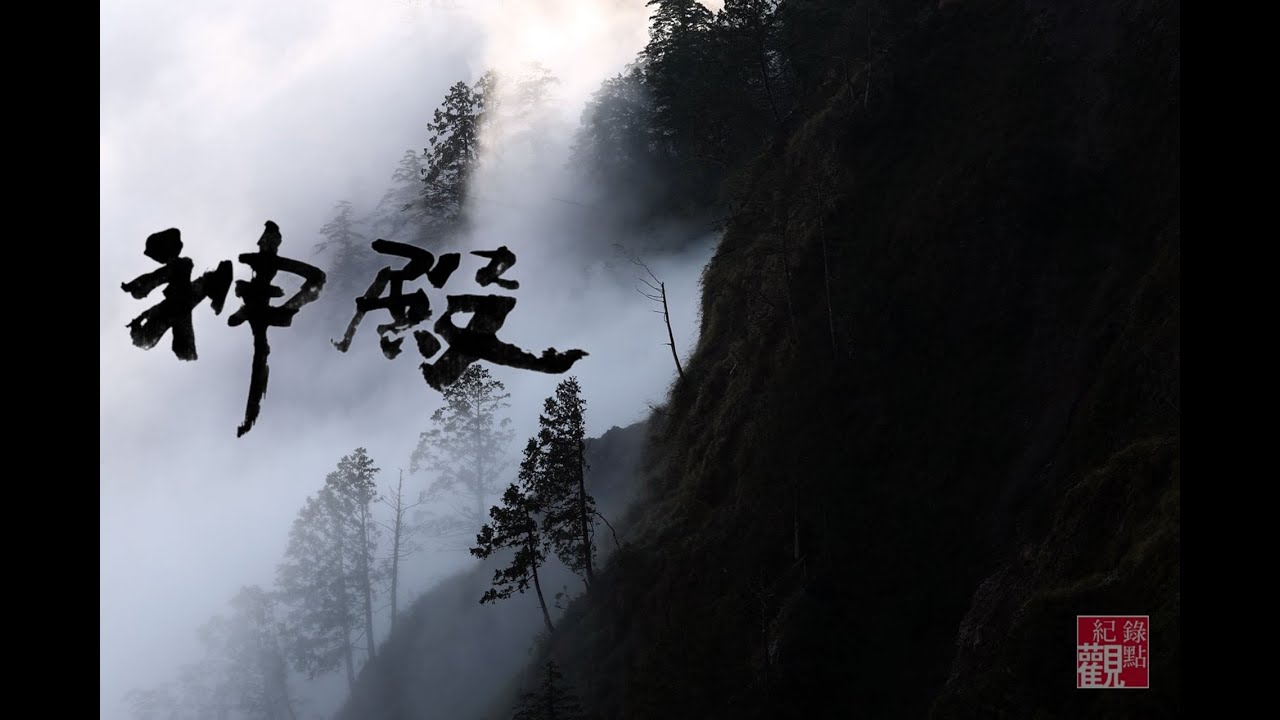 紀錄片《神殿》不是我們搶救森林 是森林搶救我們