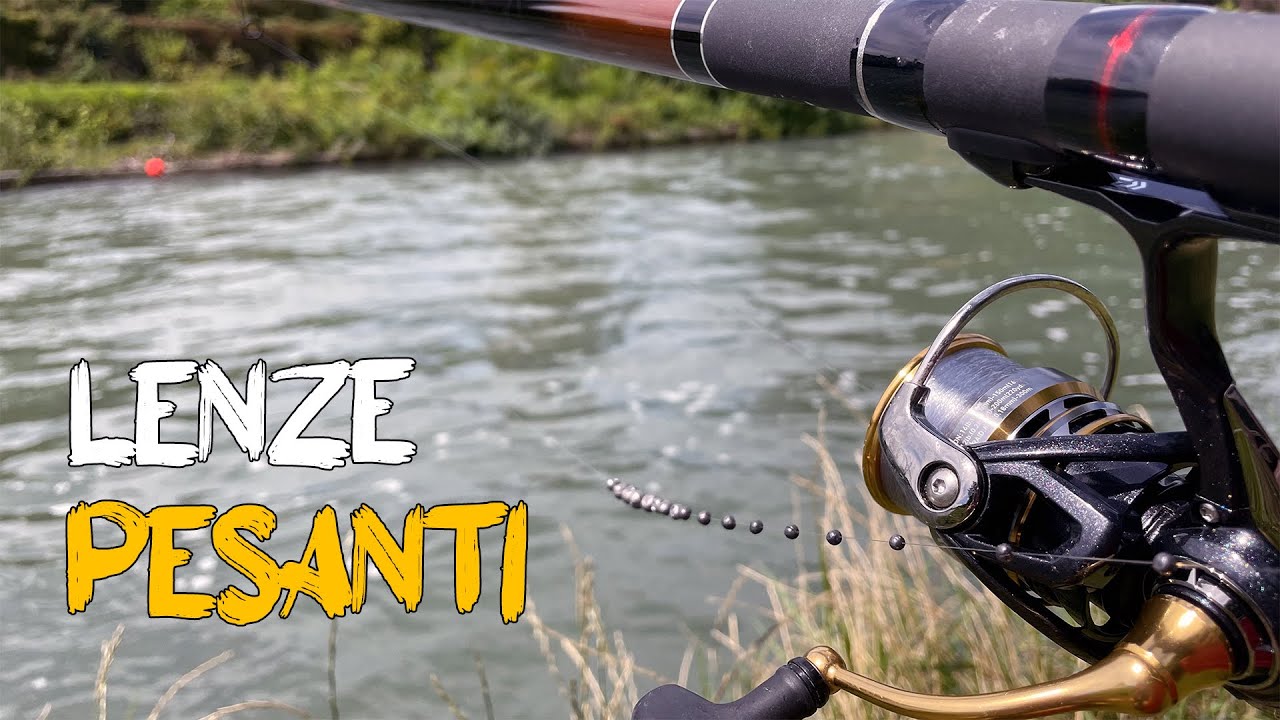 Pesca Bolognese in Corrente | Questi Pesci mettono a Dura Prova l'Attrezzatura