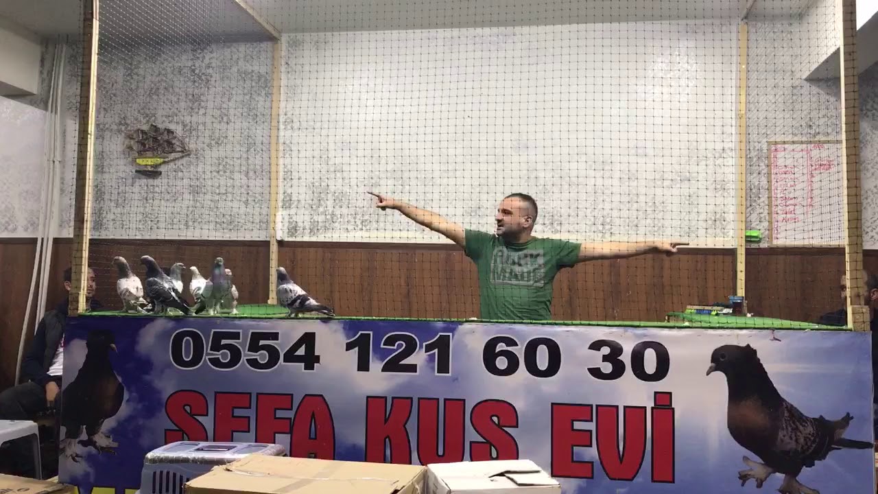 İSTANBUL BAĞCILAR SEFA KUŞ EVİ GÜVERCİN MEZATI