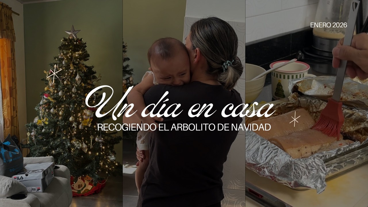 Almuerzo en casa y guardando el arbol de navidad | RUTINA CON UN BEBE