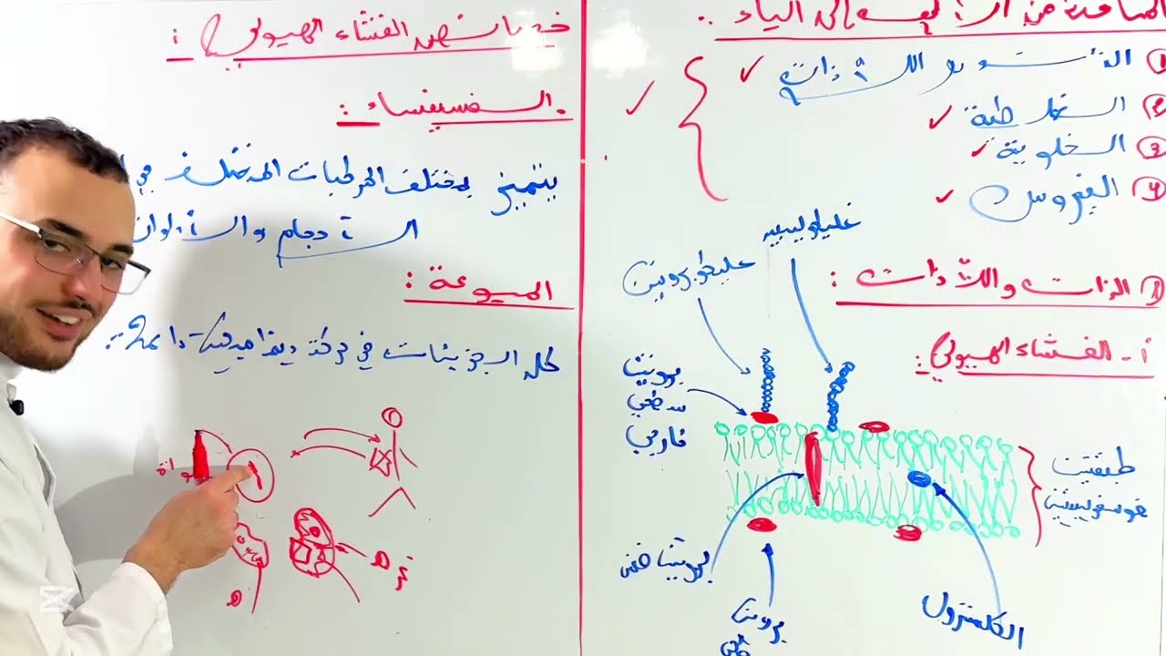 المناعة من الألف إلى الياء (مستحيل ماتفهمش‼️) 