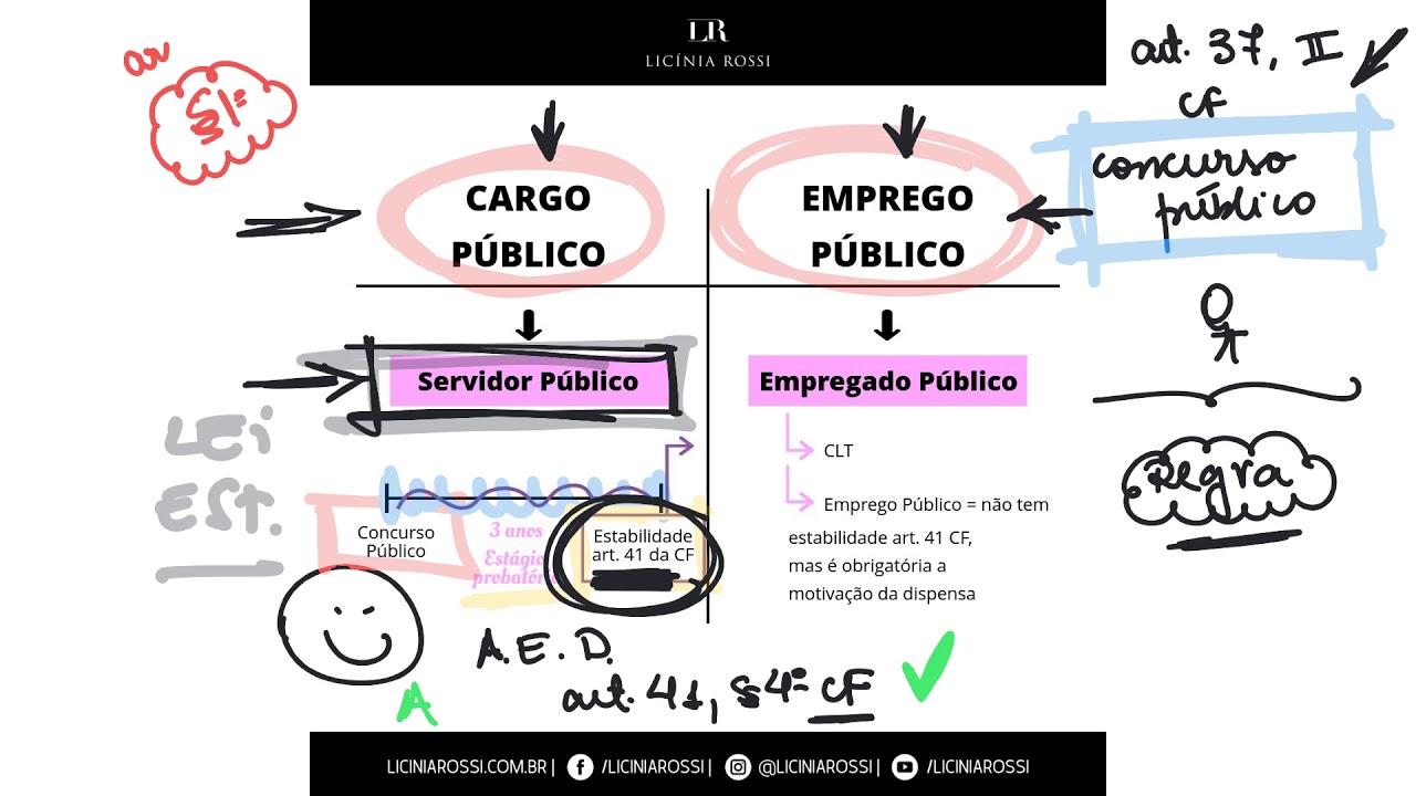 Cargo Público 