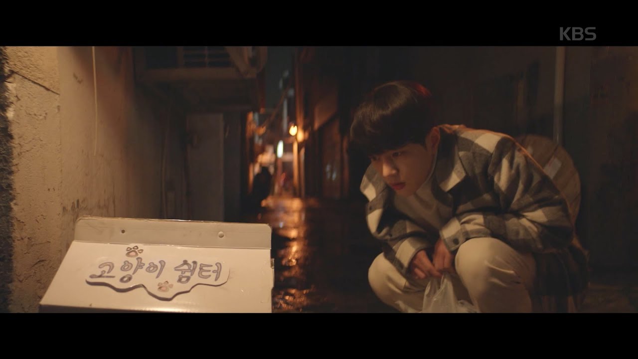 집 나온(?) 냥이 김명수..☆  [어서와] 20200402
