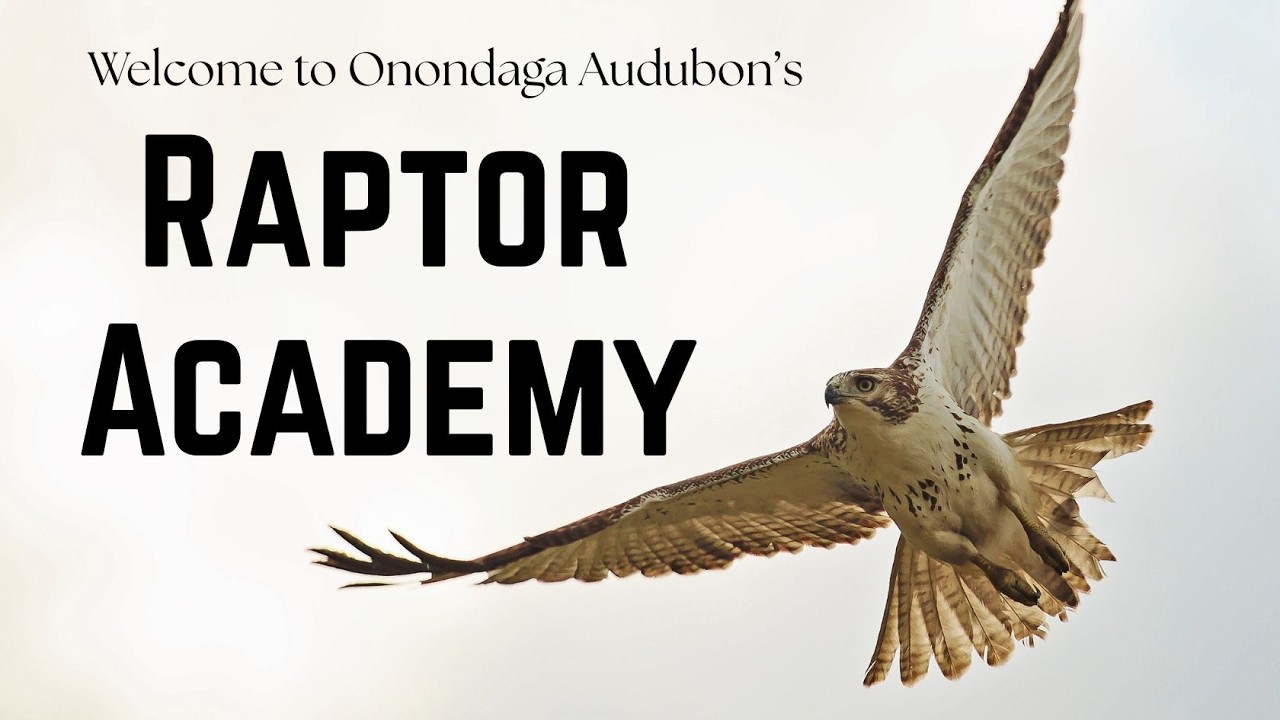 Raptor Academy Part 1/3