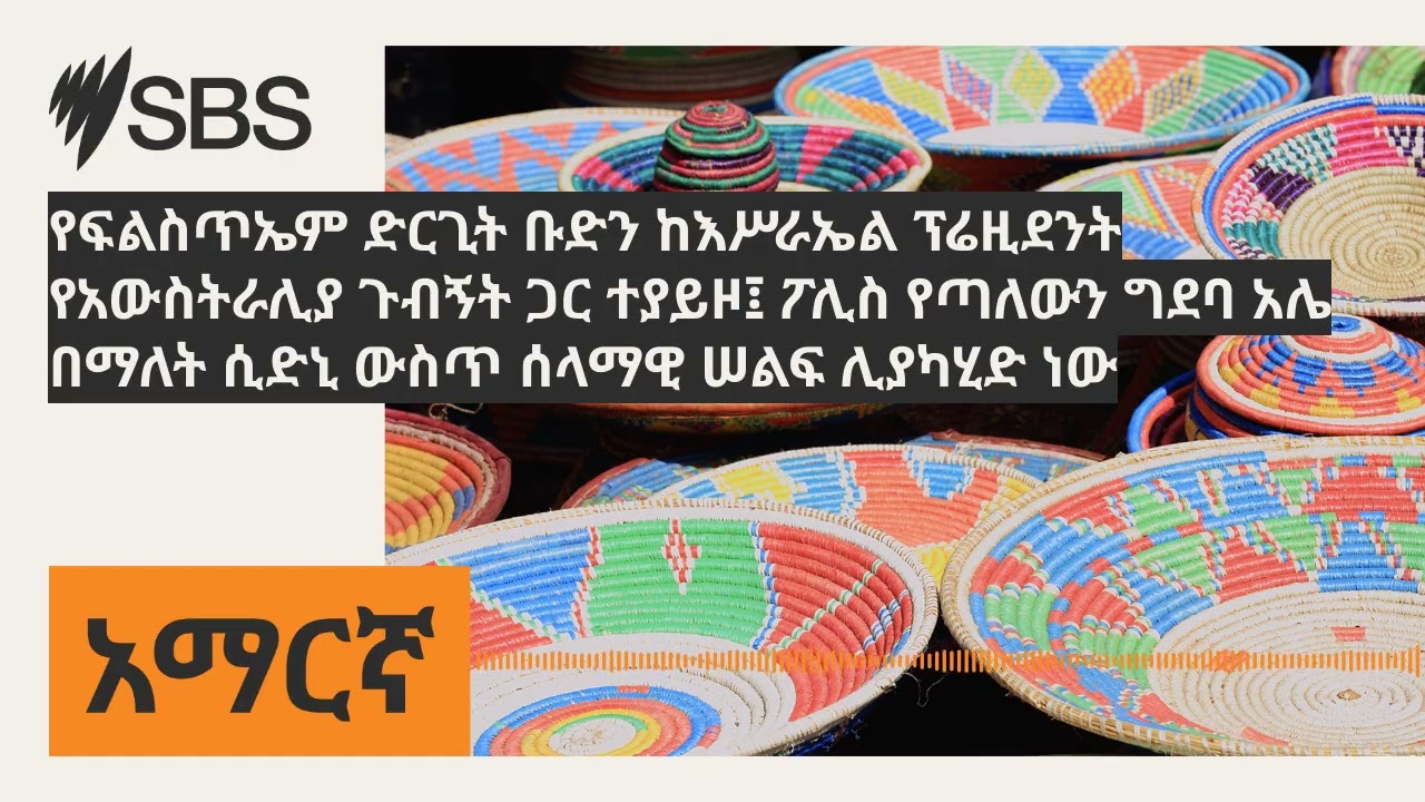 የፍልስጥኤም ድርጊት ቡድን ከእሥራኤል ፕሬዚደንት የአውስትራሊያ ጉብኝት ጋር ተያይዞ፤ ፖሊስ የጣለውን ግደባ አሌ በማለት ሲድኒ ውስጥ ሰላማዊ ሠልፍ...